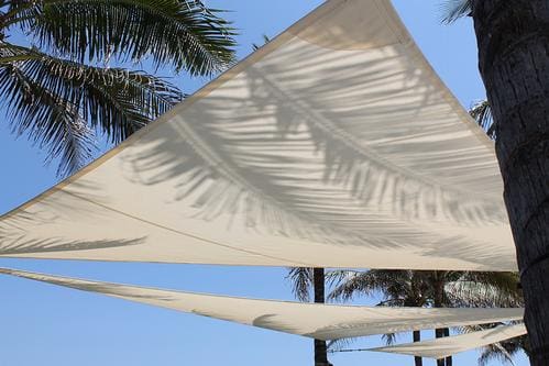 A white umbrella with palm trees in the background.